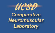 USDA Comparative Neuromuscular Laboratory