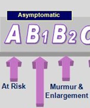 ACVIM Stages B1 & B2