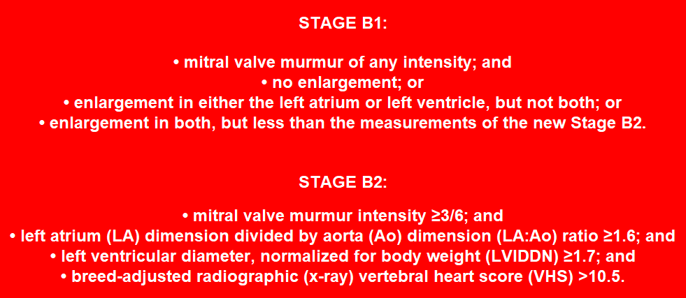 ACVIM 2019 Revised MVD Stage B1 & Stage B2