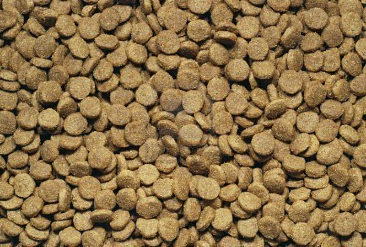 Dry Dog Food