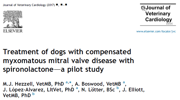 Treatment of dogs with compensated myxomatous mitral valve disease with spironolactone—a pilot study
