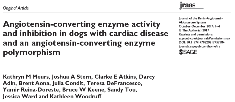 Angiotensin-converting enzyme activity and inhibition in dogs with cardiac disease and an angiotensin-converting enzyme polymorphism