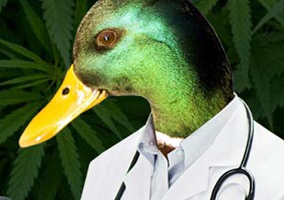 Quack Veterinarian