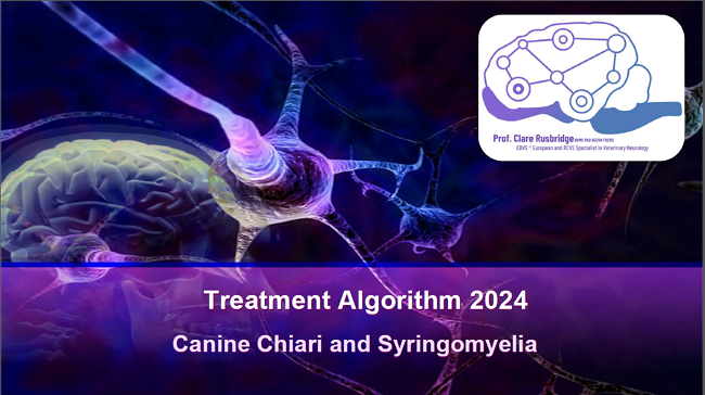 CM/SM 2024 Treatment Algorithm
