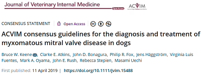 ACVIM 2019 MVD Consensus Statement