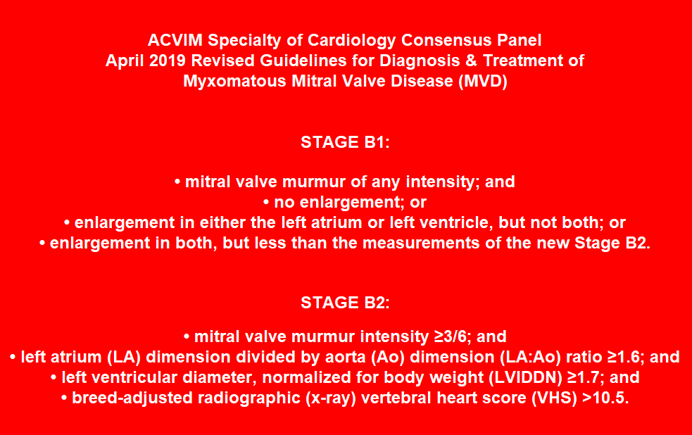 2019 ACVIM Definitions of Stage B1 and Stage B2