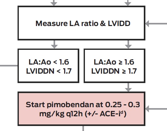 Cardiac Education Group Algorithm