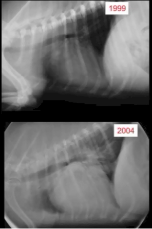 Baseline Comparison X-rays