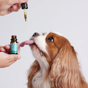 Cavalier dosed dropper