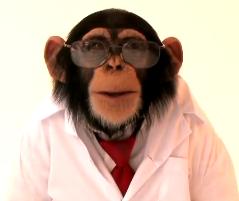 Dr. Chimp