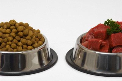 Kibble or Steak?