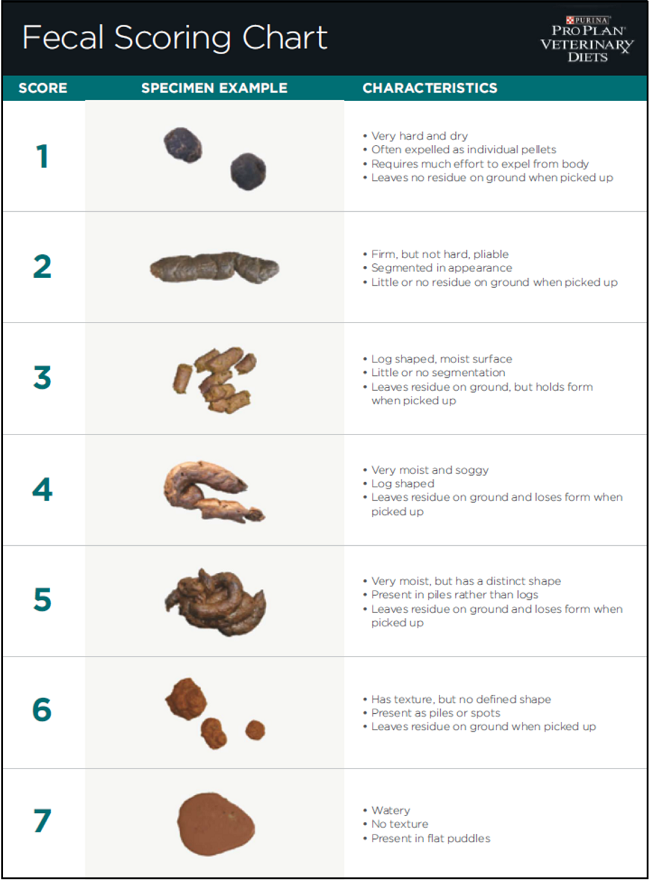 Purina Fecal Scoring Chart