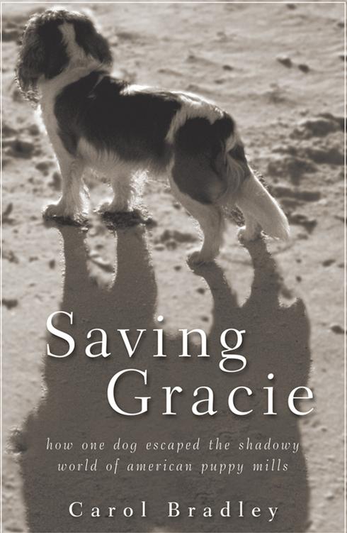 GRACIE BOOK