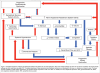 Pathways between heart failure and renal dysfunction.