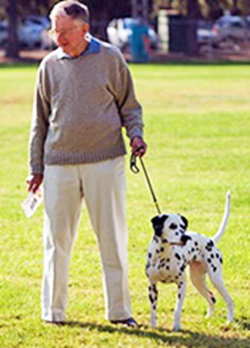 Dr. Robert Schaible