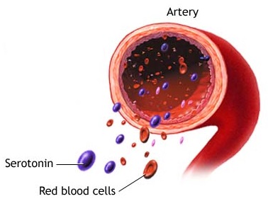 Serotonin