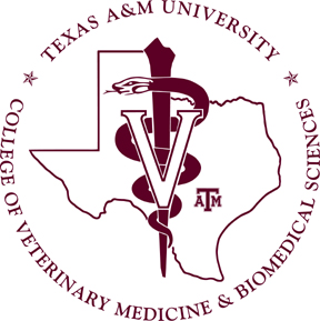 Texas A&M