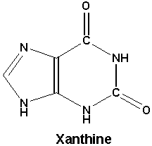 Xanthine